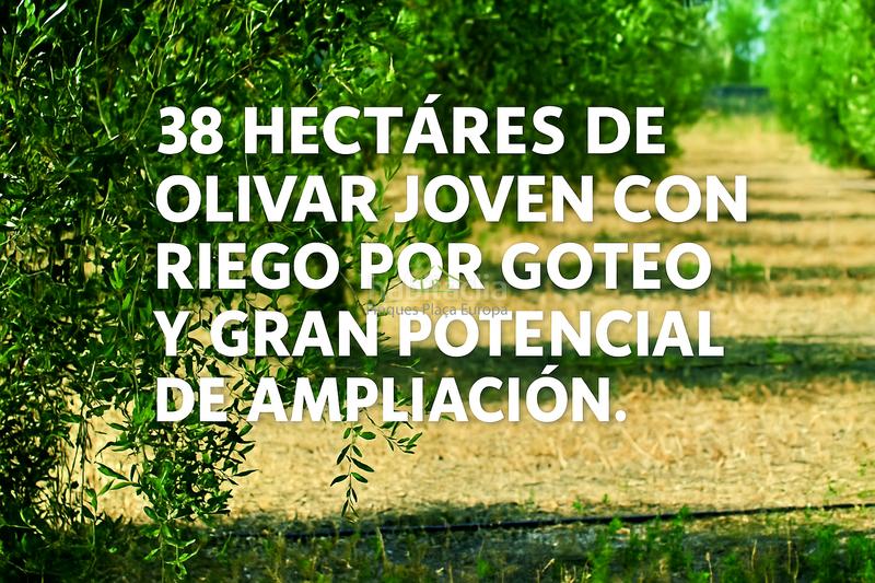 Foto 75ebd99e-83a8-4aed-81d3-d833a4491d38. Terreno residencial castro marimterreno en Costa Esuri Ayamonte