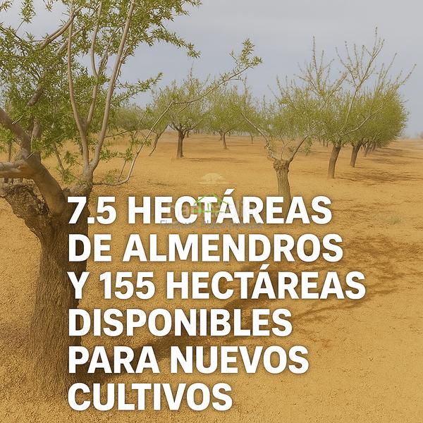 Foto e013f7e1-fc02-4215-816a-11bca4896515. Terreno residencial castro marimterreno en Costa Esuri Ayamonte