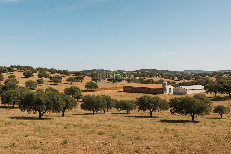 Foto 7b9eb76b-57fb-421a-971d-89ab5d3dc245. Mas dans Cumbres Mayores