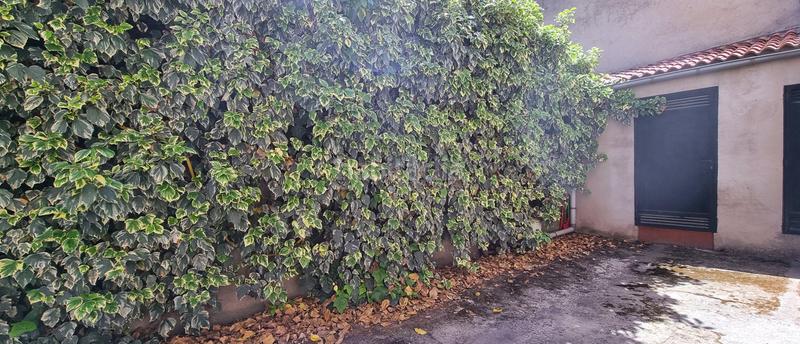 Foto cf0b2575-173a-4a79-8a00-3478fe91f741. Maison dans calle carretas 2 dans Guadalix de la Sierra