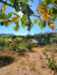 Finca r�stica en Carretera de valdemanco 33