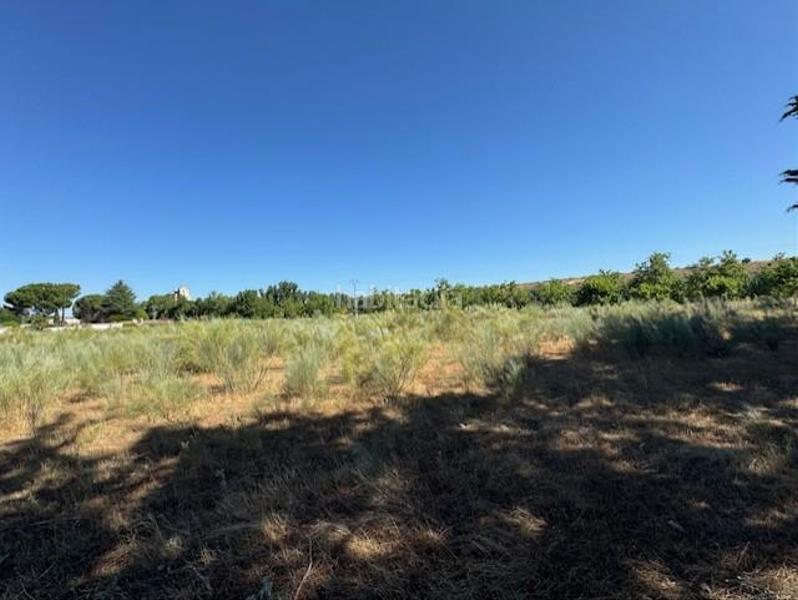 Foto b12aaa14-1179-476c-9e9f-8432501958a1. Terreno residenziale in Humanes