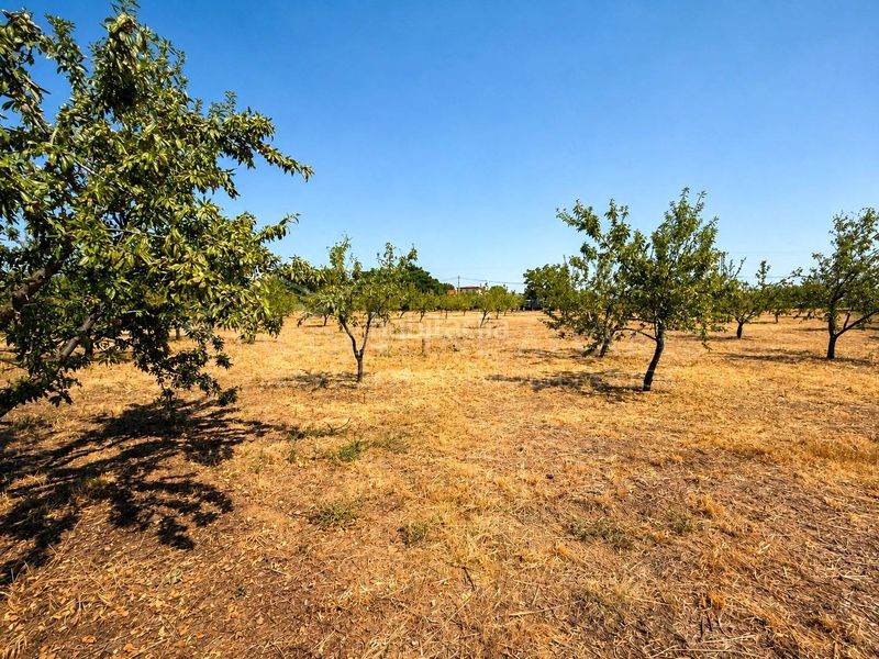 Foto 0015ce39-3b65-4262-a710-a4cb4d7b9296. Finca rústica a Yuncos