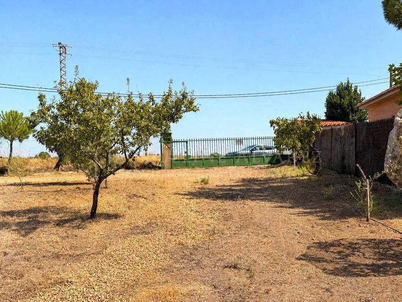 Foto 64e6a7c8-79ba-49ea-9428-d402af4a7894. Finca rústica a Yuncos