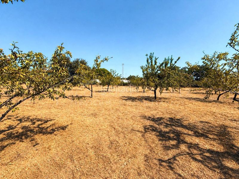Foto c5641be8-4043-45f7-a00e-94c1ad2d6747. Finca rústica a Yuncos