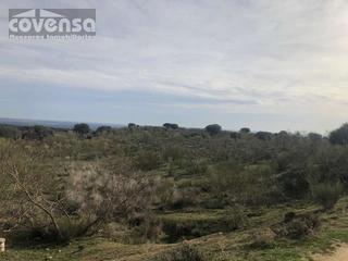 Terreno residenziale  La jaranda