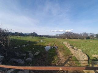 Terreno residenziale en Prado de la encina amarga 26. Finca rstica en colmenar del arroyo