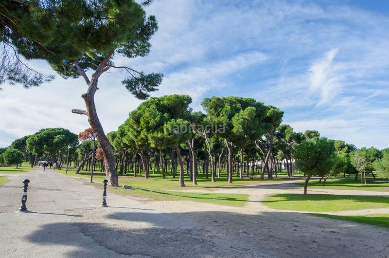 Foto 7af82940-1966-4d46-99e9-e75189142d8c. Piso en Buena Vista Madrid