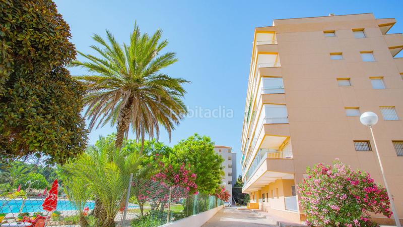 Foto 46355245-b8ea-445a-bf9d-ff3fd232e97d. Planta baja este precioso apartamento en planta baja, a sólo 300 metros de la playa de la mata, fue completamente reformado en 2021. con 3 dor en Guardamar del Segura