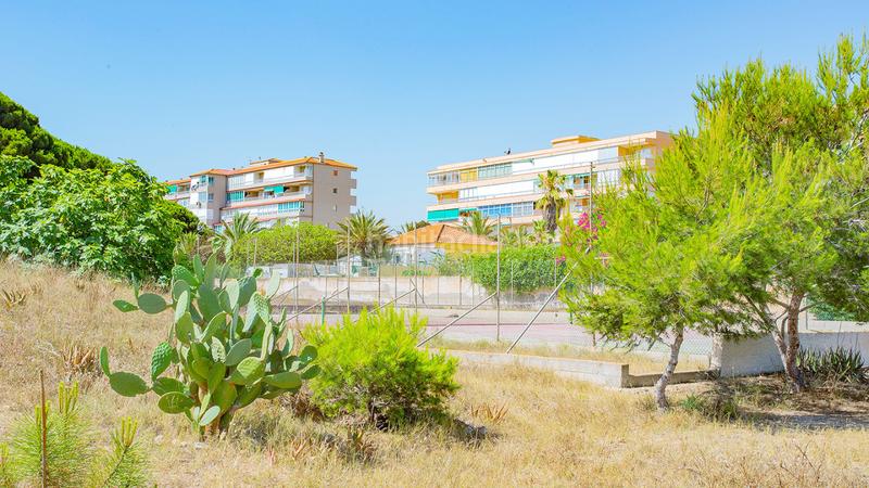Foto d94b1850-5847-49d5-86f1-6366605ed6b7. Planta baja este precioso apartamento en planta baja, a sólo 300 metros de la playa de la mata, fue completamente reformado en 2021. con 3 dor en Guardamar del Segura