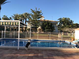 Chalet in Cabo Roig. Totalmente renovado en 2018 la villa estã lista para dar la bien