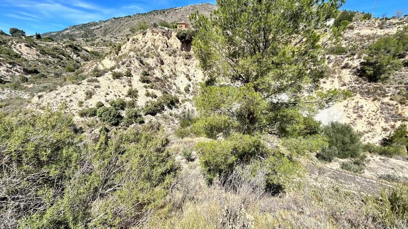 Foto 100a8da8-e722-4c79-8b6f-01a1b4a2e6f4. Casa amb calefacció aparcament a Relleu