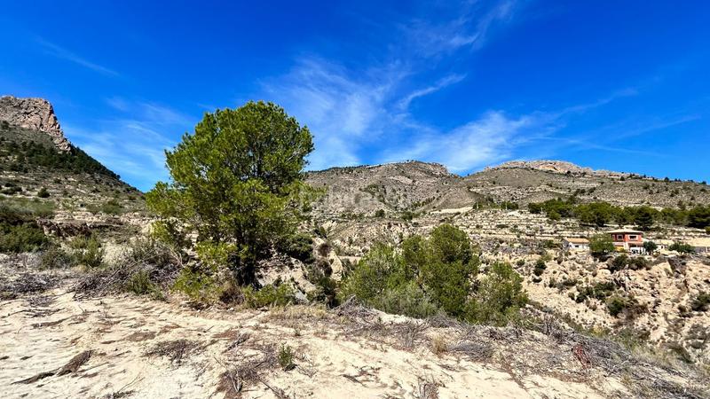 Foto 57a85efd-beeb-487d-ab46-88c9c24b4706. Casa amb calefacció aparcament a Relleu