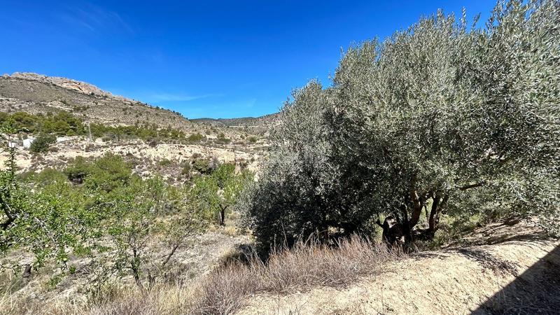 Foto 580da9d8-e12b-41f7-ae05-65a21d8c2922. Casa amb calefacció aparcament a Relleu