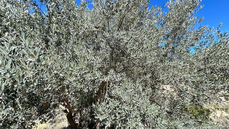 Foto 5e8affdc-e949-4e13-ac16-29f2a42ea13c. Casa amb calefacció aparcament a Relleu