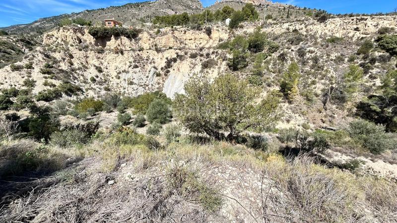 Foto 71cb5388-414d-4245-8f9d-a96e1366197a. Casa amb calefacció aparcament a Relleu