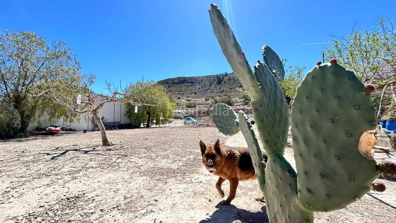 Foto 80df4543-3d72-4e09-a5ba-364b6408cecd. Casa amb calefacció aparcament a Relleu