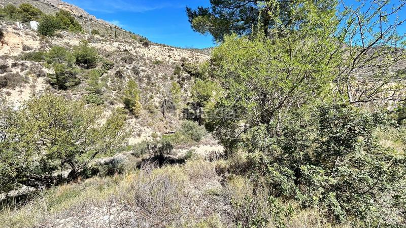 Foto 8f5a37b4-e7c2-41c1-b62c-d4b277073cc6. Casa amb calefacció aparcament a Relleu