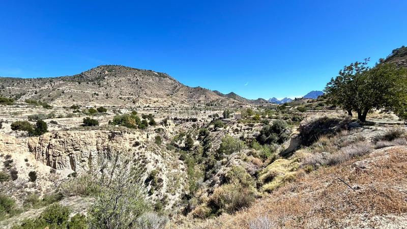 Foto 9c7e90cc-f3c8-4232-bf8b-4591ff9fe15f. Casa amb calefacció aparcament a Relleu