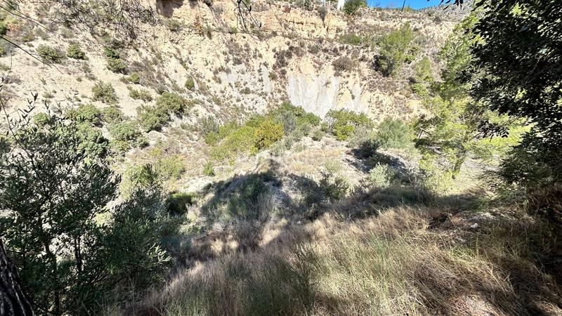 Foto ad3e4ce1-ba00-4f57-87b9-ed018799e938. Casa amb calefacció aparcament a Relleu