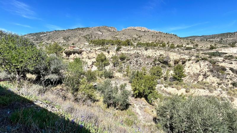 Foto bb068b37-80c2-49e7-8455-7b8ec509f64a. Casa amb calefacció aparcament a Relleu