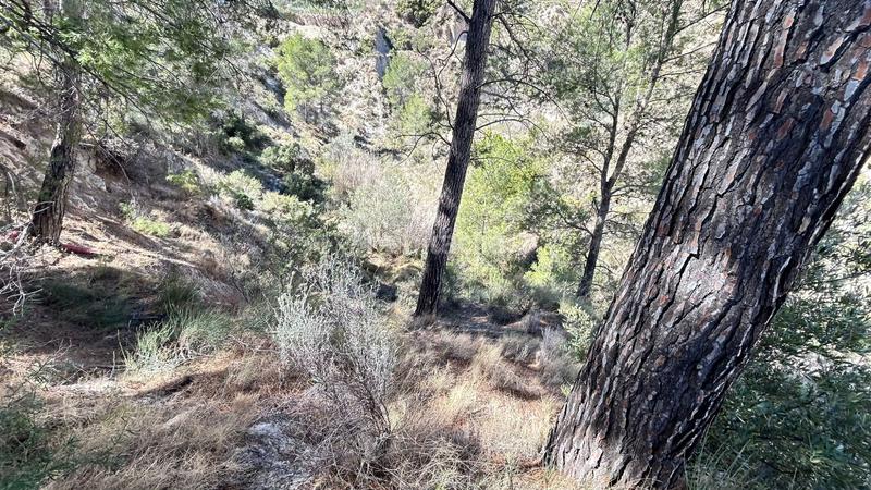 Foto e0cef501-3565-4c25-96f2-d6ba7d032da2. Casa amb calefacció aparcament a Relleu