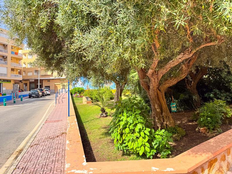 Foto 42adece5-ae53-487c-b58d-b5ebc2df053d. Aparcament cotxe a Gaspar Perelló Torrevieja