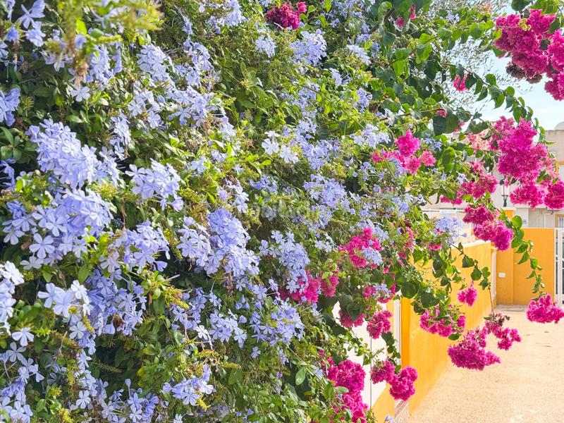 Foto 6d875008-b9f0-45a2-8dae-075b9a51f7d0. Casa bifamiliare con riscaldamento parcheggio piscina in Orihuela