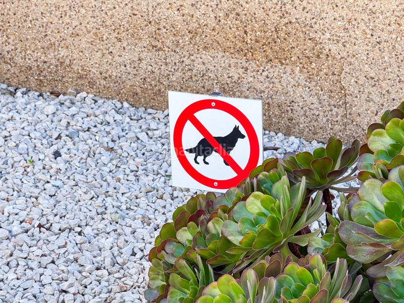 Foto 3e610d69-392e-4715-823f-3a71f3c7efda. Appartement mit heizung parking pool in Zeniamar - Horizonte - La Campana Orihuela