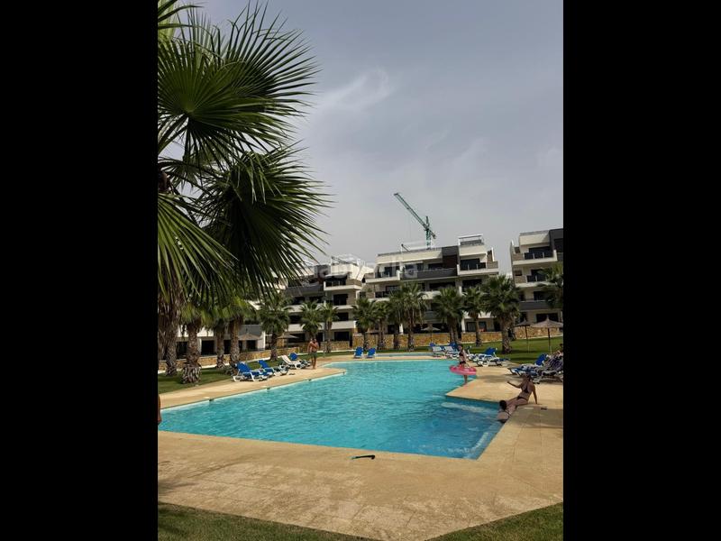 Foto fe50014c-3048-4ef3-82d1-87af6484615a. Apartament amb calefacció aparcament piscina a La Florida Orihuela