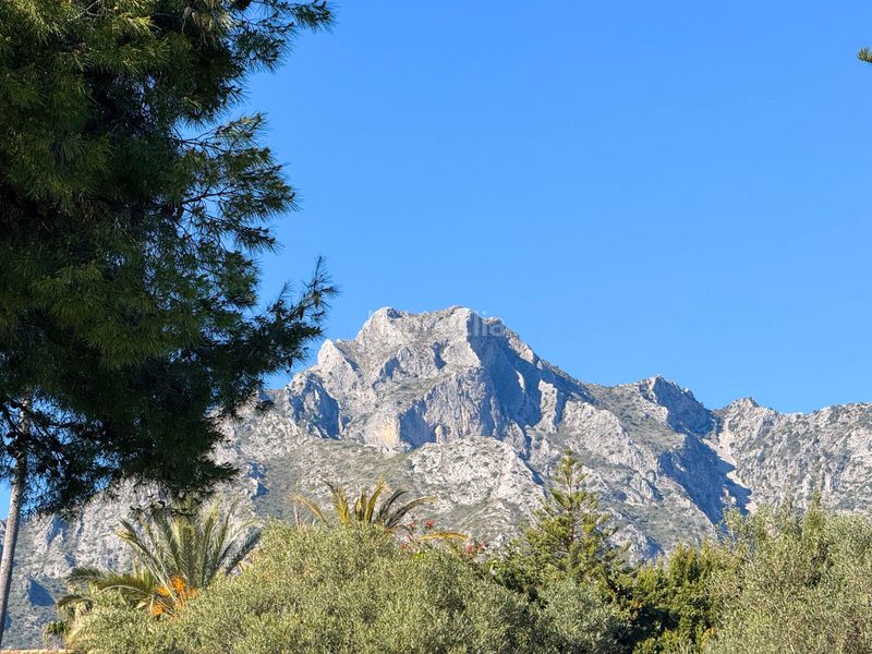 Foto ab221c6e-8d88-4af8-99e6-7f43a6158627. Terreny residencial a Sierra Blanca Marbella