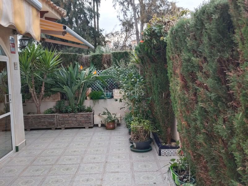 Foto 6e0978f7-9185-43ff-baf2-929aaf9ca353. Planta baixa amb calefacció aparcament piscina a Torrevieja