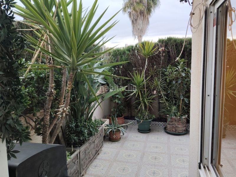 Foto dad1807b-c8d9-4a57-a2af-2cf0695d16ed. Planta baixa amb calefacció aparcament piscina a Torrevieja