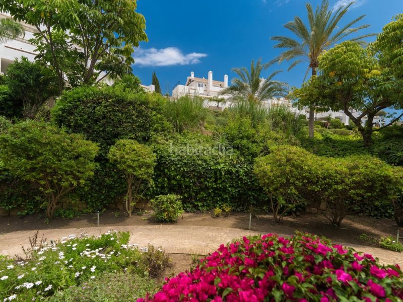 Foto 8500f846-a065-4b23-96cf-0444c4778d88. Planta baixa amb calefacció aparcament piscina a Marbella