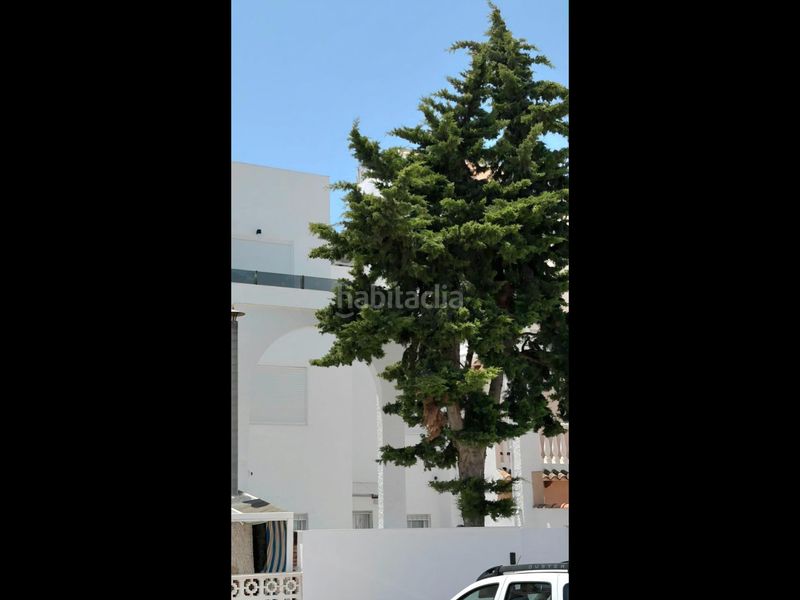 Foto 629a33a5-4c5e-4662-93b9-2301b9f69f88. Casa adossada amb calefacció piscina a nueva Torrevieja Torrevieja
