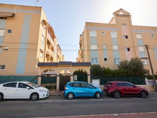 Apartment in Gaspar Perelló. Apartamento planta baja en puerto romano, la mata, torrevieja co