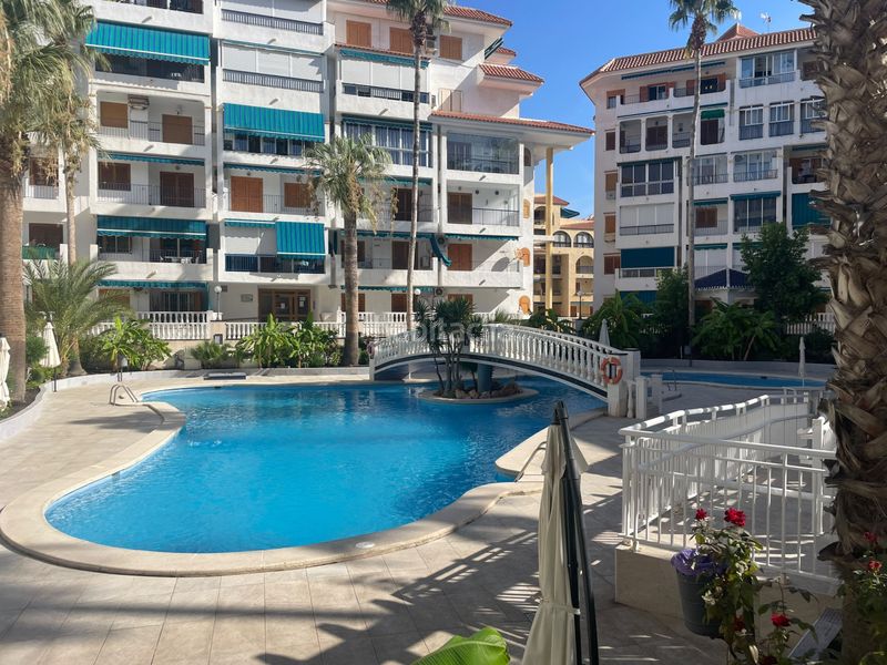Foto 58d4e180-1540-4b7e-afc6-ea40806fcc3d. Apartament amb calefacció piscina a Los Europeos Torrevieja