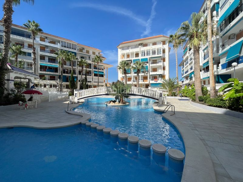 Foto 7e7e0334-6260-4ba3-ac91-0418a5497ba1. Apartament amb calefacció piscina a Los Europeos Torrevieja