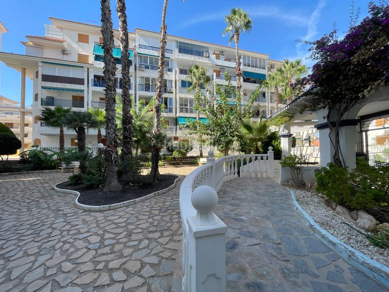 Foto 92575ed2-c479-4283-97ee-26c8708221d5. Apartament amb calefacció piscina a Los Europeos Torrevieja