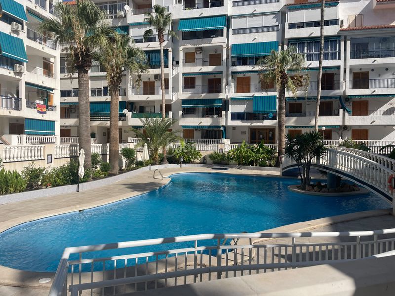 Foto ea1156f4-6db5-4624-8c6a-6cfd846f9857. Apartament amb calefacció piscina a Los Europeos Torrevieja