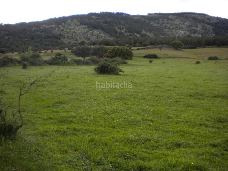 Foto 1c4ad4ab-eeae-4d30-b155-59503b6288c5. Fondo rustico in Colegios Moralzarzal