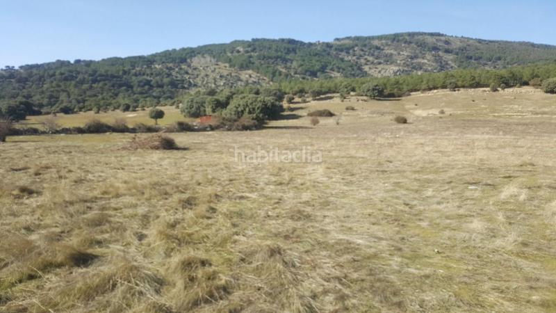 Foto bcf8bb0e-b24f-4c9e-80b5-59a6d0ec4a25. Fondo rustico in Colegios Moralzarzal