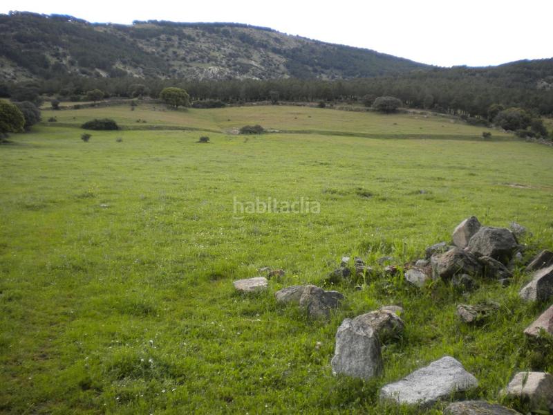 Foto ab9270e2-b56d-4404-9f65-d7bfa1496089. Finca rústica en Colegios Moralzarzal