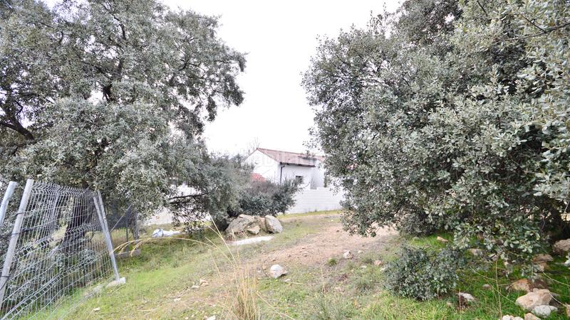 Foto 8cb0cc67-61b2-47b2-bac4-03cc7c008101. Terreno residenziale in Guadalix de la Sierra