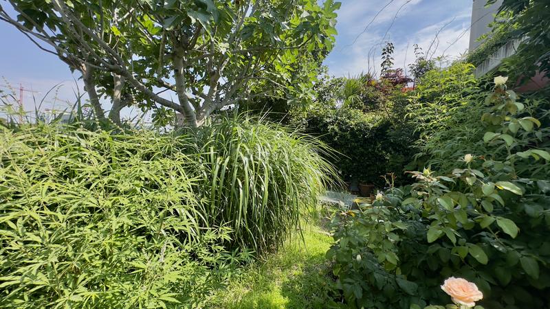 Foto 36d074e5-ae4a-4006-ad22-f7687c98af48. Dúplex en Colina Madrid