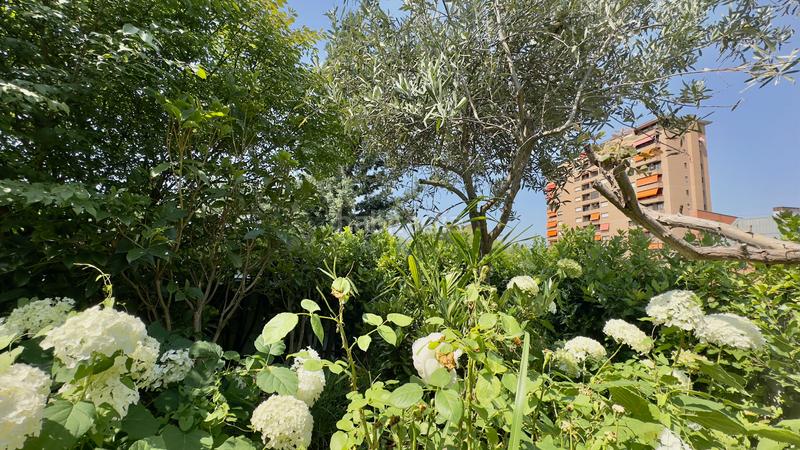 Foto a4999b2a-3798-4ce9-a97b-1fce8050be66. Dúplex en Colina Madrid