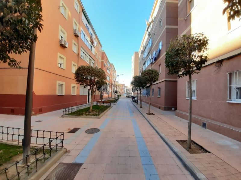 Foto 4a413f42-4d38-423a-838f-d68a14951d67. Pis a Universidad Getafe