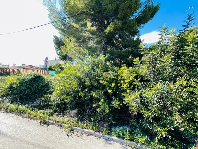 Foto d7742cfb-787e-4d60-b2df-44384304e8ca. Terreno residenziale in Bellvei