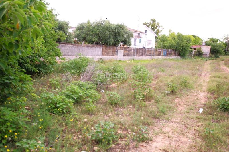 Foto bc289f45-a816-42c2-a157-4078f9809cc9. Terreno residenziale in Santa Oliva