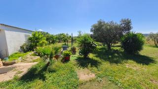 Finca rústica a Santa Oliva. Gran parcela rústica de 10.100 m2 !!!!!